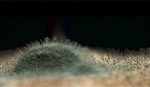 Как вывести грибок в квартире. Как не допустить появления грибка 06 Как вывести грибок в квартире. Как не допустить появления грибка 06