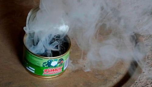 Железный купорос от плесени на бетоне. Чем обработать баню от плесени