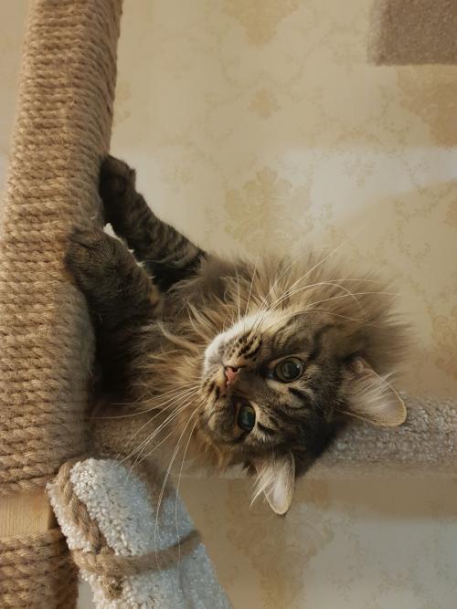 Что нам стоит дом построить 01 Что нам стоит дом построить 01