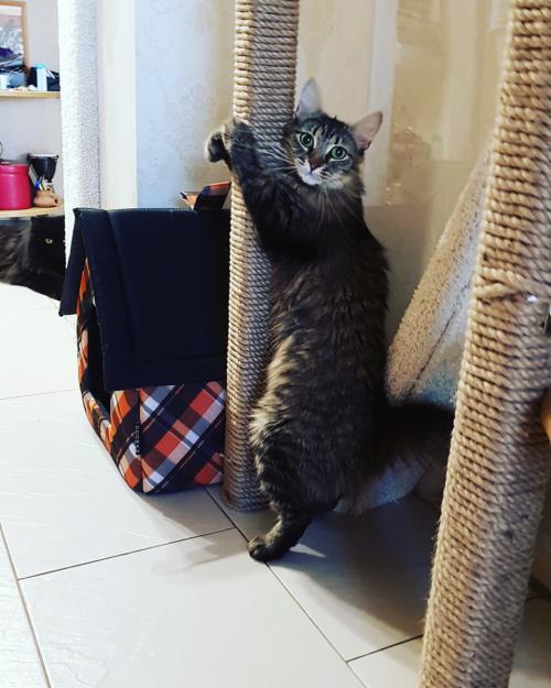 Что нам стоит дом построить 02 Что нам стоит дом построить 02