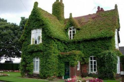 Из каких материалов дешевле всего построить дом. Выбор материала для стен 05 Из каких материалов дешевле всего построить дом. Выбор материала для стен 05