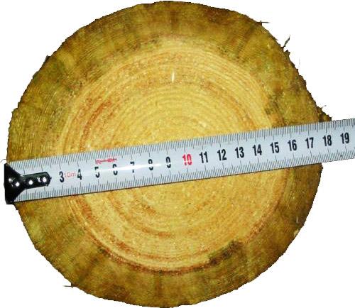 Антисептик для дерева бесцветный. Антисептики для древесины