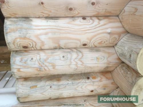 Нужно ли обрабатывать доски. Почему древесина нуждается в защите