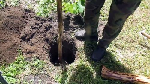 Чем обработать деревянный столб. Процесс подготовки и закапывания столбов