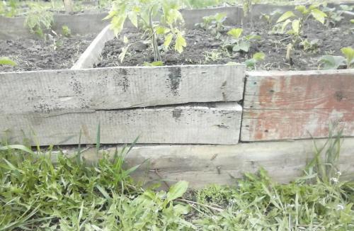 Какое дерево лучше для грядок. Сравнение популярных материалов для грядок —, какие лучше?