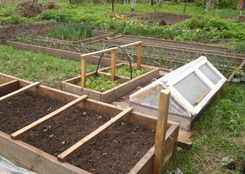 Какое дерево лучше для грядок. Сравнение популярных материалов для грядок —, какие лучше?