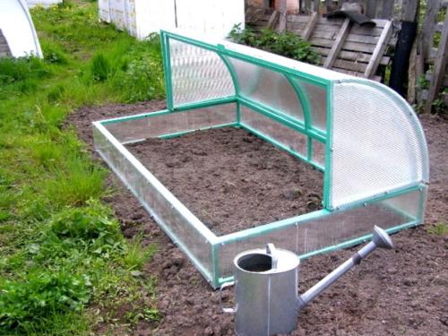 Какое дерево лучше для грядок. Сравнение популярных материалов для грядок —, какие лучше?