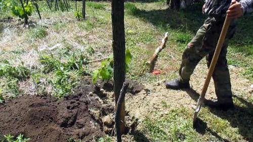 Чем обработать деревянный столб. Процесс подготовки и закапывания столбов