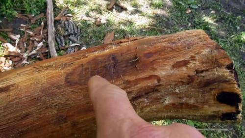 Чем обработать деревянный столб. Процесс подготовки и закапывания столбов