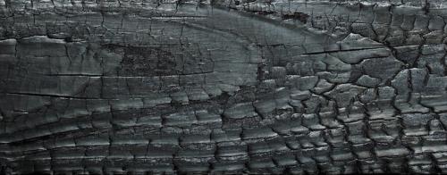 Лучшая защита древесины от гниения. Обжиг древесины – лучшая защита древесины от гниения