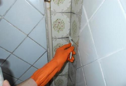 Медный купорос и известь применение против грибка на стенах. Как избавиться от грибка на стене 13