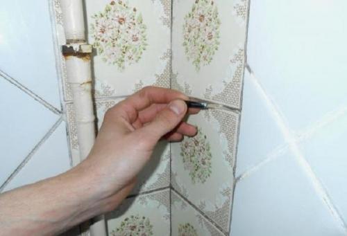 Медный купорос и известь применение против грибка на стенах. Как избавиться от грибка на стене 12