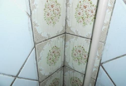 Медный купорос и известь применение против грибка на стенах. Как избавиться от грибка на стене 11