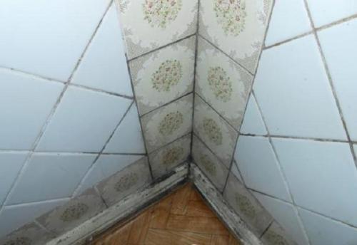 Медный купорос и известь применение против грибка на стенах. Как избавиться от грибка на стене 06