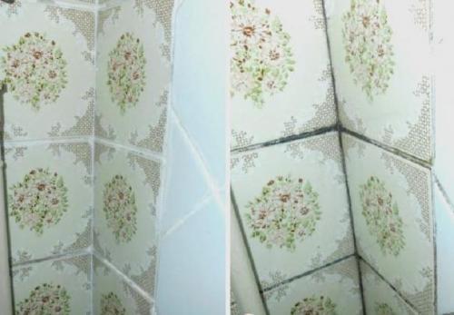 Медный купорос и известь применение против грибка на стенах. Как избавиться от грибка на стене 05