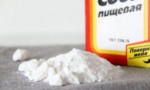 Средство от плесени своими руками. Плесень