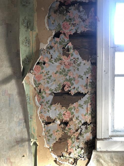 Перепланировка старого сельского дома. Как перестроить старый дом и оставить всю его красоту: «Этот цвет в народе раньше называли “поносный”»