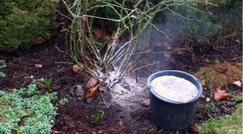 Как растворить медный КУПОРОС для обработки деревьев. 04