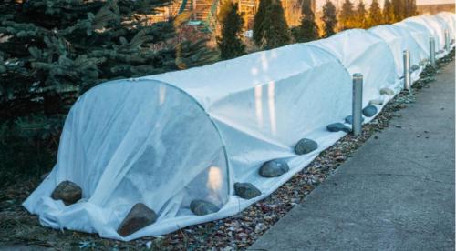 Как растворить медный КУПОРОС для обработки деревьев. 05