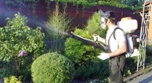 Как растворить медный КУПОРОС для обработки деревьев. 09