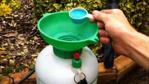 Как растворить медный КУПОРОС для обработки деревьев. 10