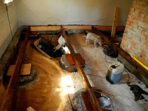 Как обновить старый деревянный дом внутри. Деревянные полы в частном доме своими руками