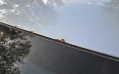 Как проверить качество покраски автомобиля. Как проверить лакокрасочное покрытие автомобиля