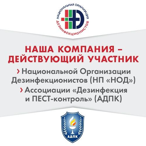 Профессиональное удаление плесени. Уничтожение плесени