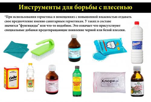 Как убрать плесень с потолка в домашних условиях. Средства для борьбы с плесенью
