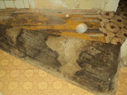 Плесень и грибок в деревянном доме. Основная причина роста и размножения грибков 10 Плесень и грибок в деревянном доме. Основная причина роста и размножения грибков 10