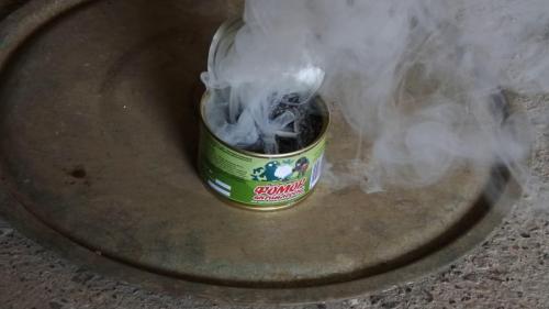 Плесень и грибок в деревянном доме. Основная причина роста и размножения грибков 11 Плесень и грибок в деревянном доме. Основная причина роста и размножения грибков 11