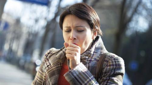 Как избавиться от плесени в квартире. Виды плесени в квартире 01