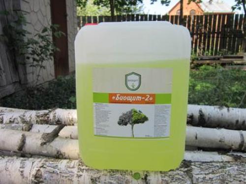 Плесень и грибок в деревянном доме. Основная причина роста и размножения грибков 01 Плесень и грибок в деревянном доме. Основная причина роста и размножения грибков 01