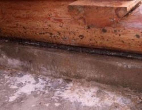 Плесень и грибок в деревянном доме. Основная причина роста и размножения грибков 05 Плесень и грибок в деревянном доме. Основная причина роста и размножения грибков 05