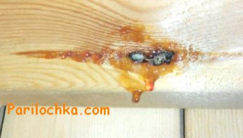 Как обшить баню вагонкой внутри своими руками. Как правильно обшить парилку