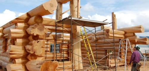 Как выбрать древесину для постройки дома. Лучшее дерево для строительства дома — основы выбора