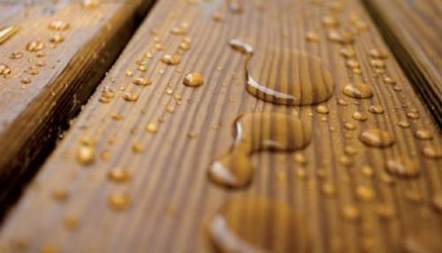 Чем покрыть липовую вагонку в парилке бани