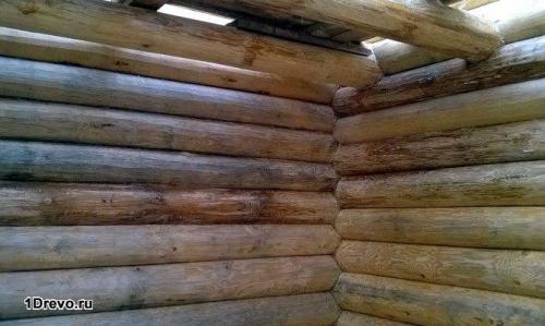 Лучший антисептик для сруба. Подбор лучшего антисептического состава