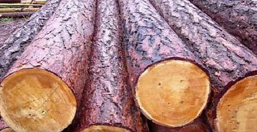 Какой брус лучше для строительства дома. Профилированный клееный брус 04 Какой брус лучше для строительства дома. Профилированный клееный брус 04