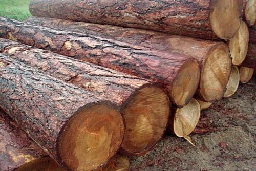 Какой брус лучше для строительства дома. Профилированный клееный брус 07 Какой брус лучше для строительства дома. Профилированный клееный брус 07