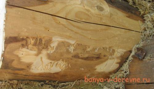 Обязательно ли шлифовать сруб перед покраской. Шлифовать или так сойдет?