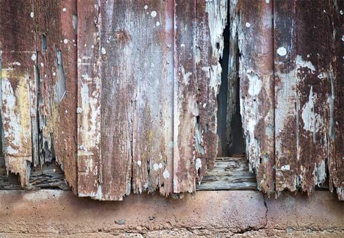 Как покрасить старый деревянный забор. Чем лучше покрасить забор из дерева: лаки, антисептики, пропитки