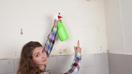 Чем убрать плесень в ванной на потолке. Плесень на потолке в ванной: как избавиться от грибка самостоятельно?