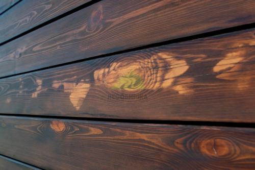 Зачем нужно обрабатывать дерево перед покраской. Что включает в себя предварительная обработка 10