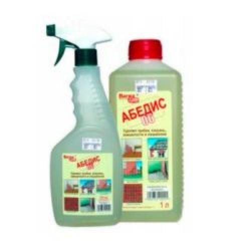 Лучшее средство от плесени на стенах. Противогрибковые препараты для профессиональной обработки