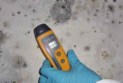 Лучшее средство от плесени на бетоне. Антисептик для обработки бетона от плесени и грибка (топ лучших средств)