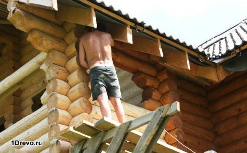 В какой цвет покрасить бревна внутри дома. Как окрасить бревенчатый дом