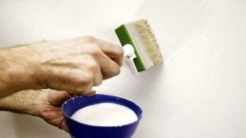 Грунтовка стен перед покраской водоэмульсионкой. Надо ли грунтовать перед покраской водоэмульсионной краской