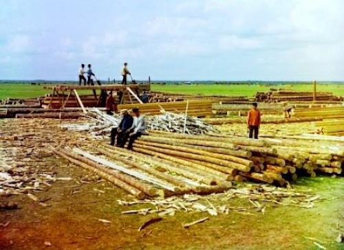 Особенности стройки деревянных домов.. Какой материал выбрать? 03