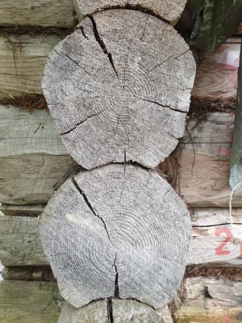 Покраска стен деревянного дома. Особенности нанесения краски на деревянные стены 15